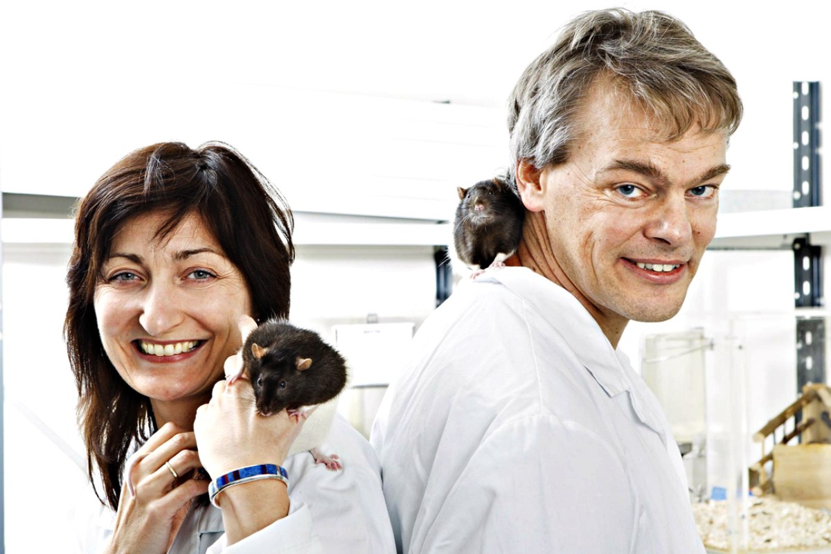Discovery of brain's 'inner GPS' earns trio Nobel Prize for medicine ...