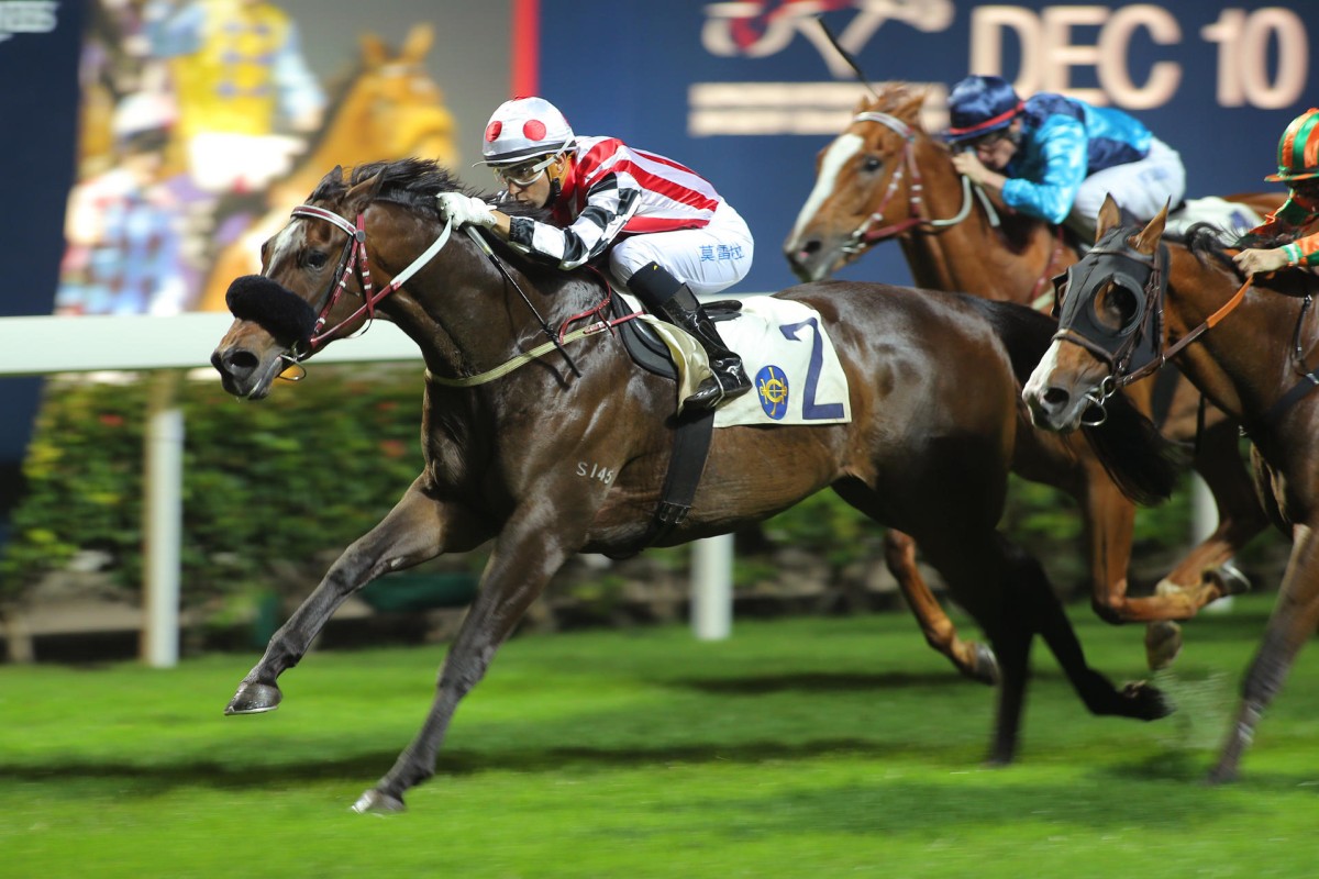 Joao Moreira pilots Harbour Master to his second consecutive victory of the season at Happy Valley. Photos: Kenneth Chan