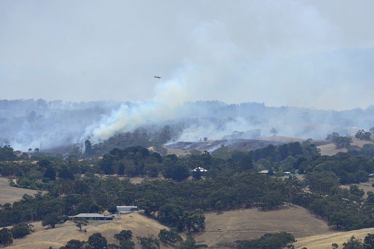 Thousands flee their homes as worst wildfires in 30 years rage across ...