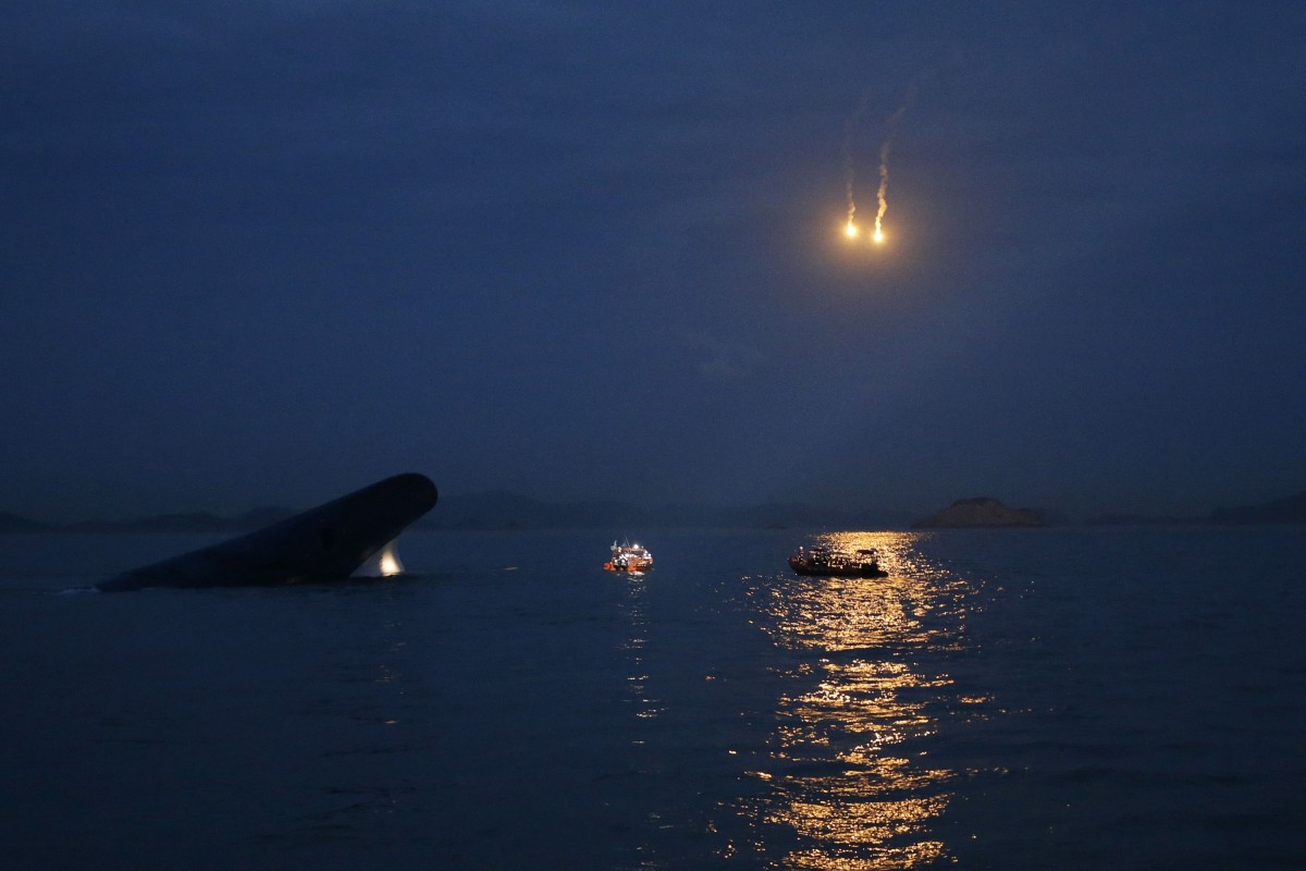 Sewol ferry captain murdered 304 passengers by abandoning ... - 