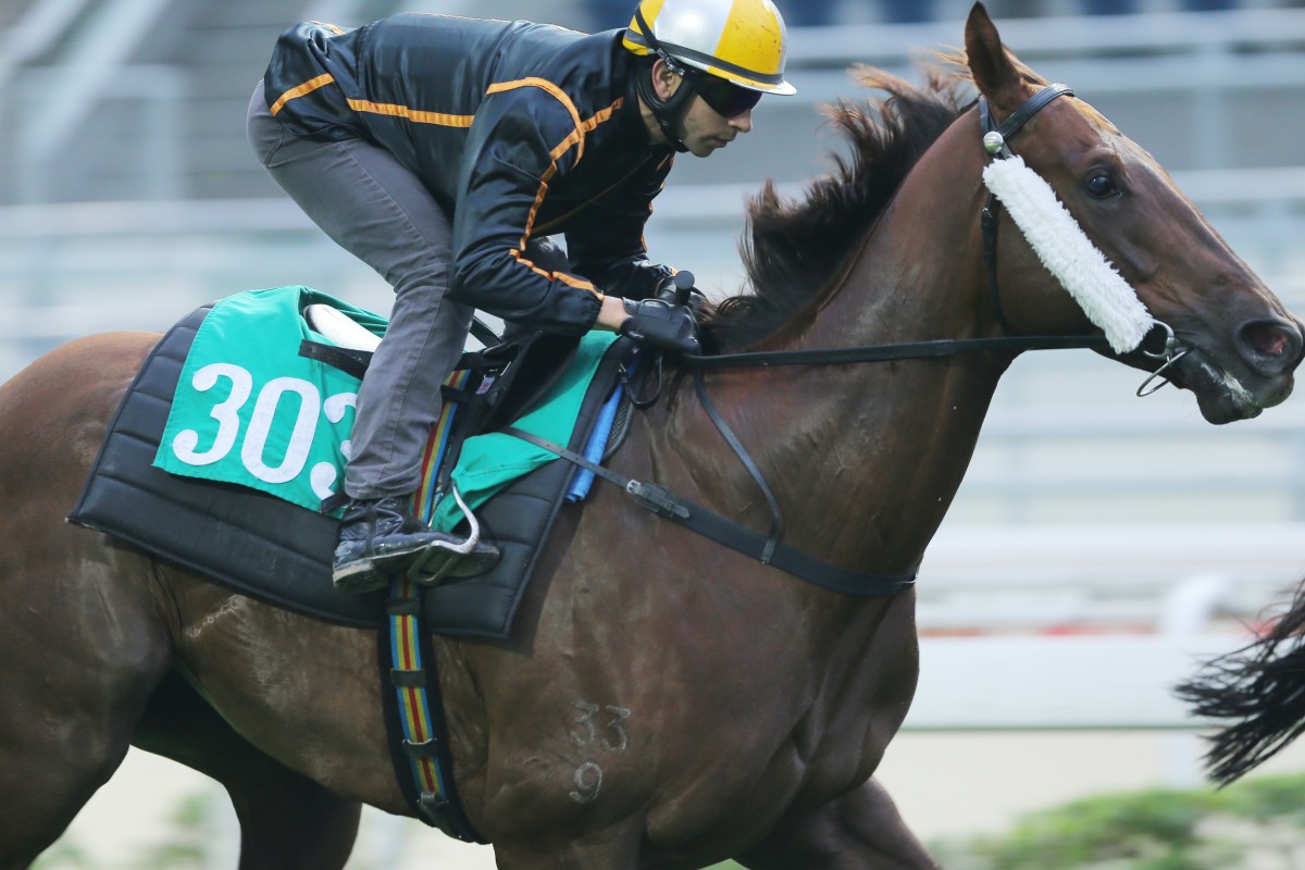 Able Friend has toyed with rivals in his past three starts and the five-year-old is marked as the highest rated horse in the Jockey Club's history. Photos: Kenneth Chan