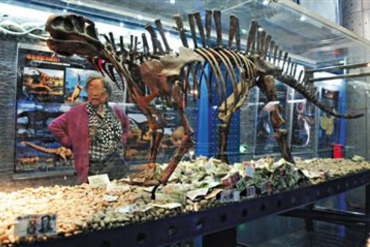 dinosaur display museum