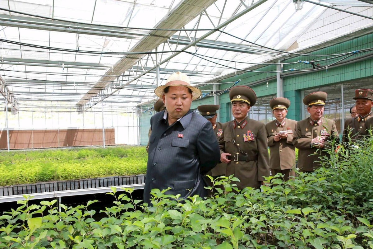 Huge Food Shortages 'could Leave North Korea Hungry After Lowest ...