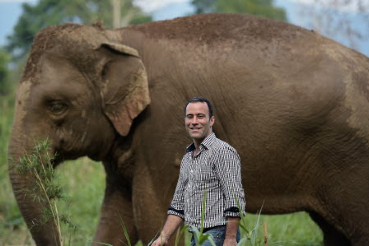 Hk 100 Espresso Beans From Elephant Dung In Thailand Used To Make One Of World S Most Expensive Coffees South China Morning Post