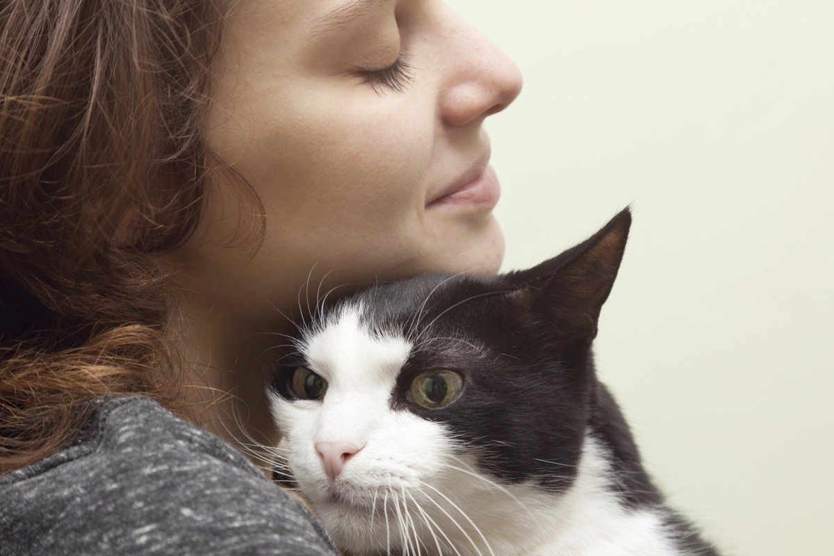 How to make your pet happy with being handled South China Morning Post