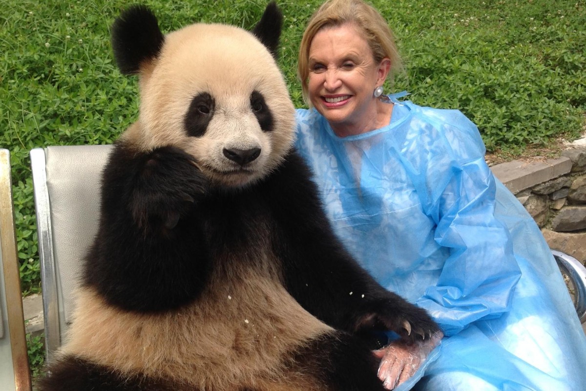 congresswoman-s-crusade-to-get-pandas-in-new-york-may-succeed-south-china-morning-post