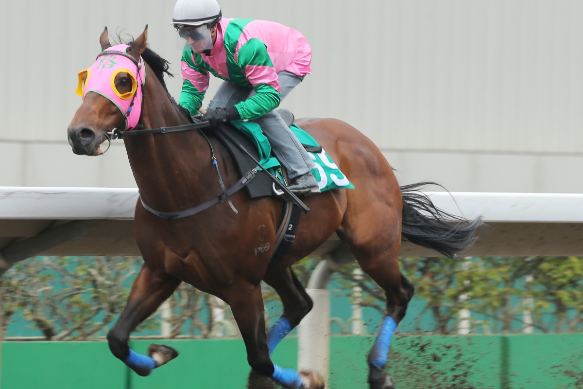 AEROVELOCITY, ridden by Zac Purton, won the barrier trial batch 7 over 1200Metres (All Weather Track) at Sha Tin. 19JAN16