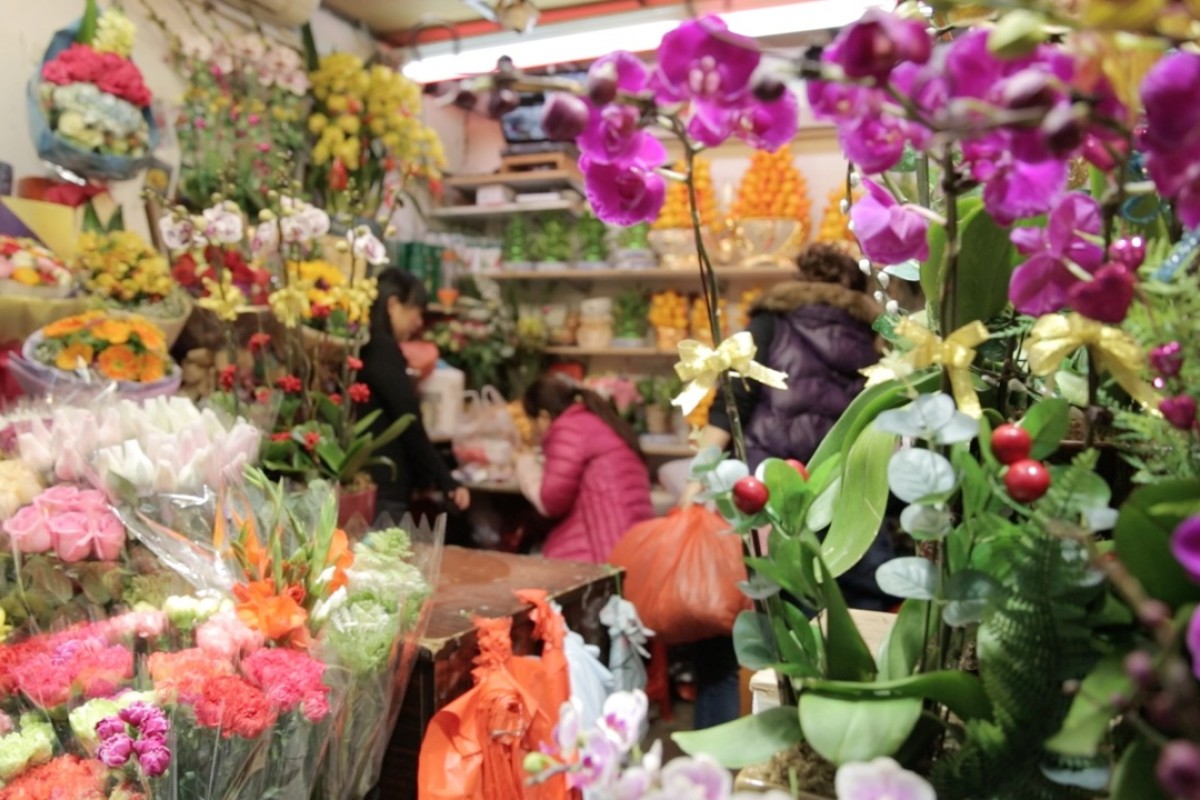 Chinese New Year 2016 The Meaning Behind Plants And Decorations We Display South China Morning Post