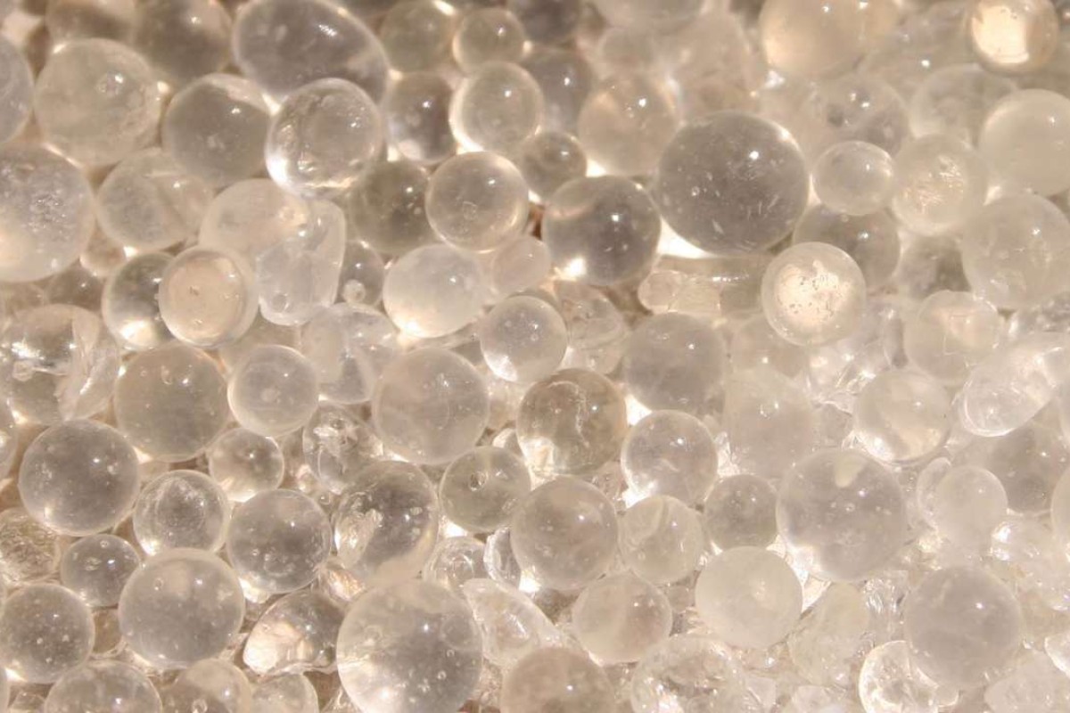 Firstgraders plotted to kill classmate with poisoned lunch, police and