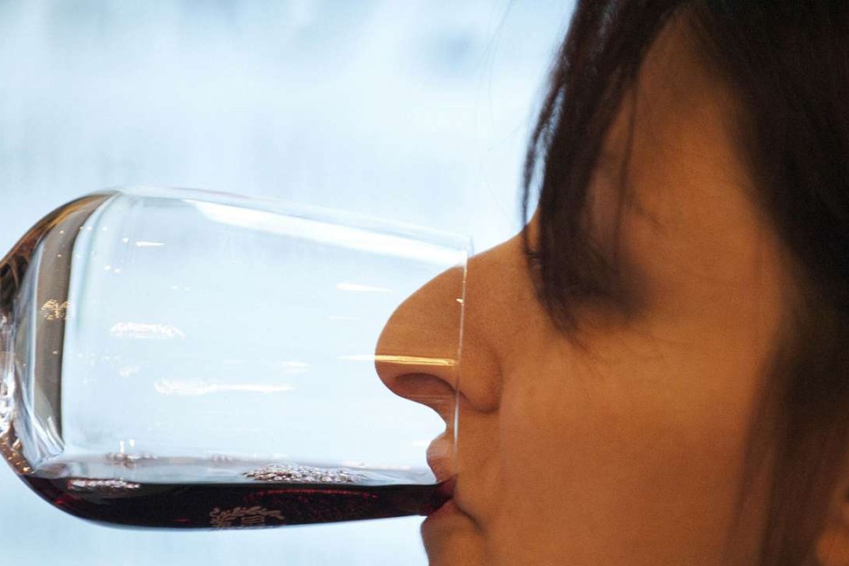 Opinion How to be a wine taster calm down, enjoy the experience, and