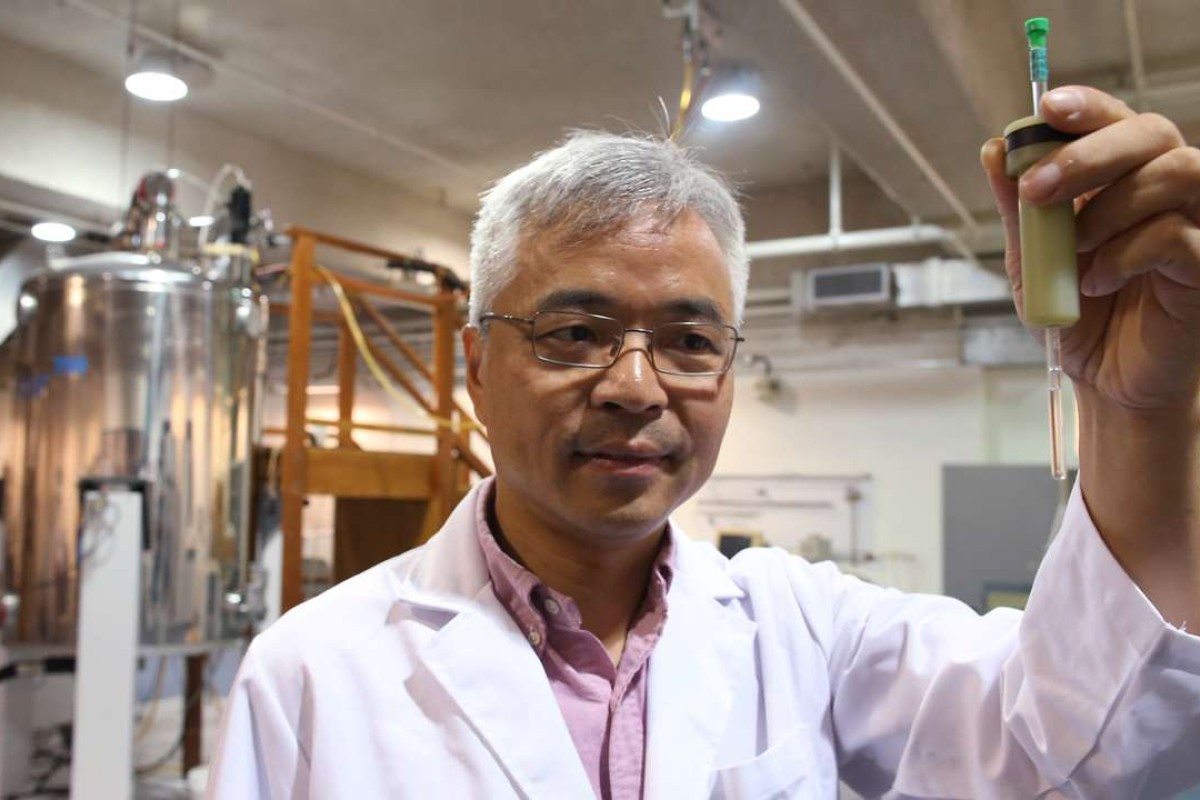 A first for Hong Kong researchers uncover how gene mutations can lead to brain disorders