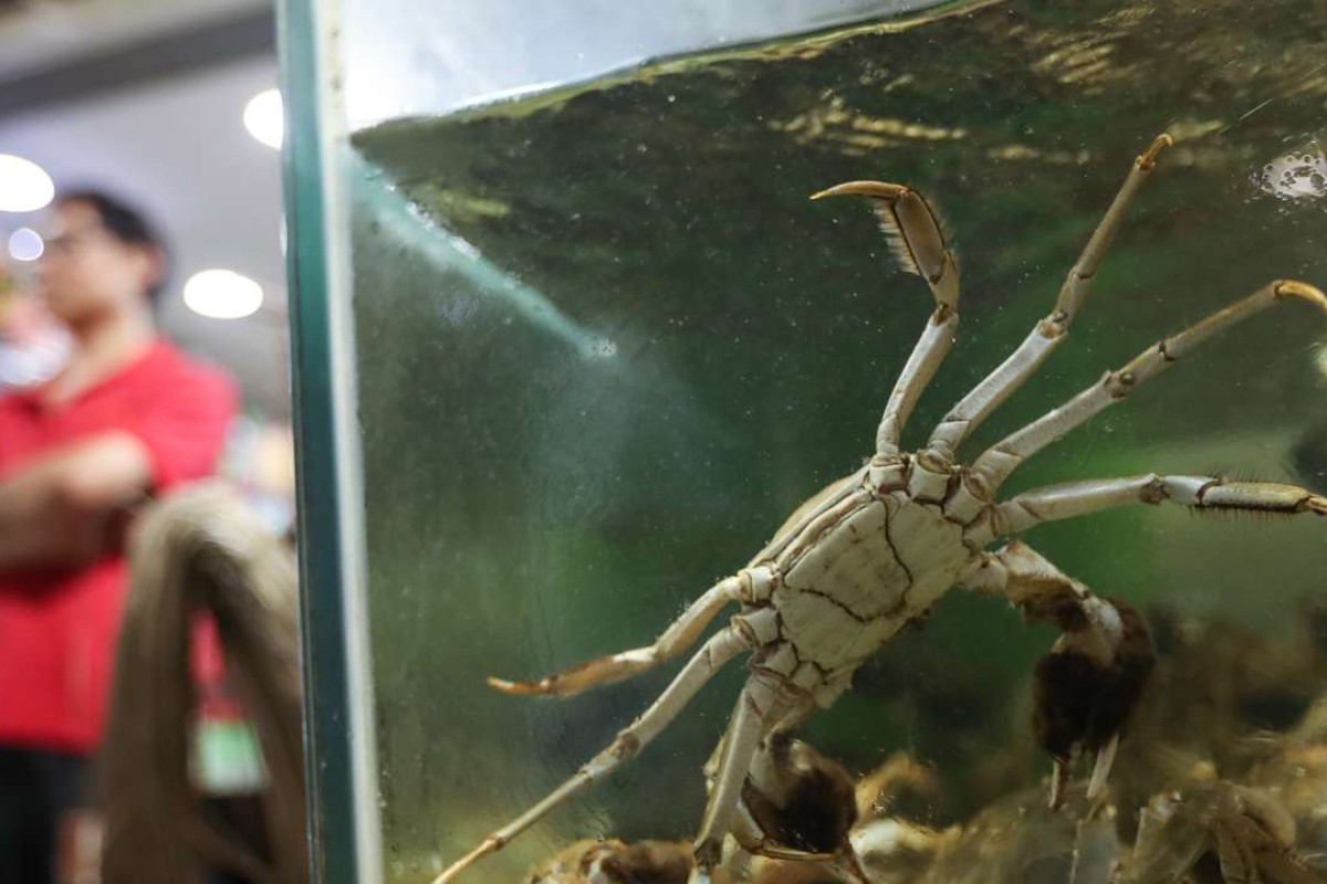 Highly Toxic Hairy Crabs May Have Been Hidden, Then Sold With Fake ...