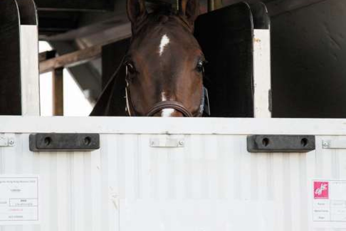 Meet The People Behind The Grand Slam Of Indoor Showjumping