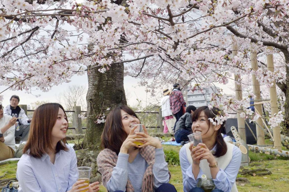 The Good The Bad And The Ugly Sides To Japan S Cherry Blossom