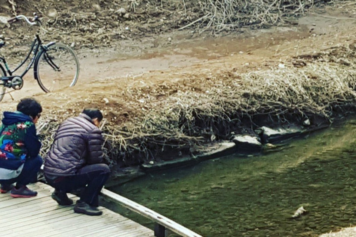 South Koreans Most Depressed In World After Spouses Death - 