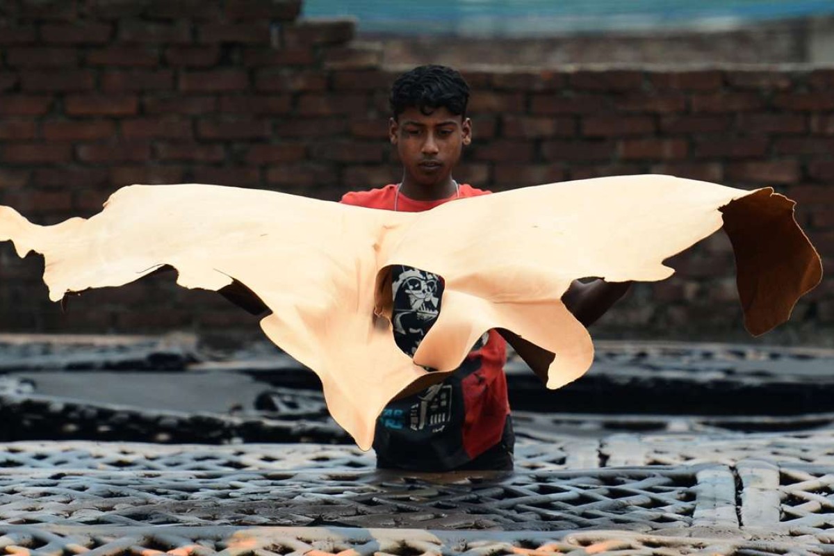 Bangladesh finally bows to pressure and shuts down leather industry long condemned for its