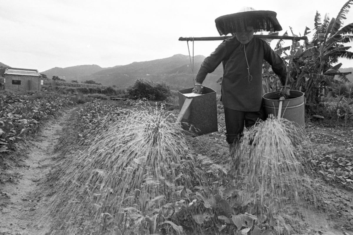 Can Faster Conversion Of Farmland Provide A Solution To Hong Kong S Housing Problem South China Morning Post