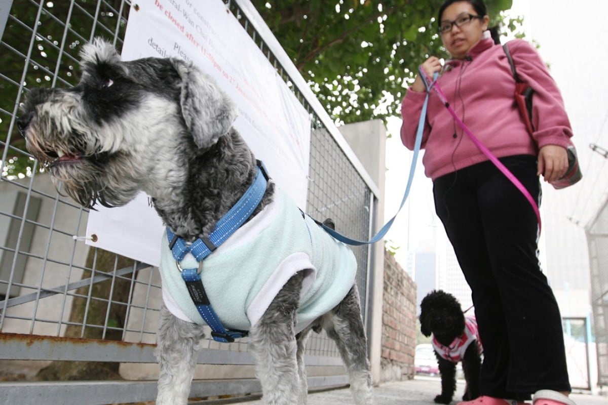 Hong Kong could learn to sympathise with bereaved pet owners | South