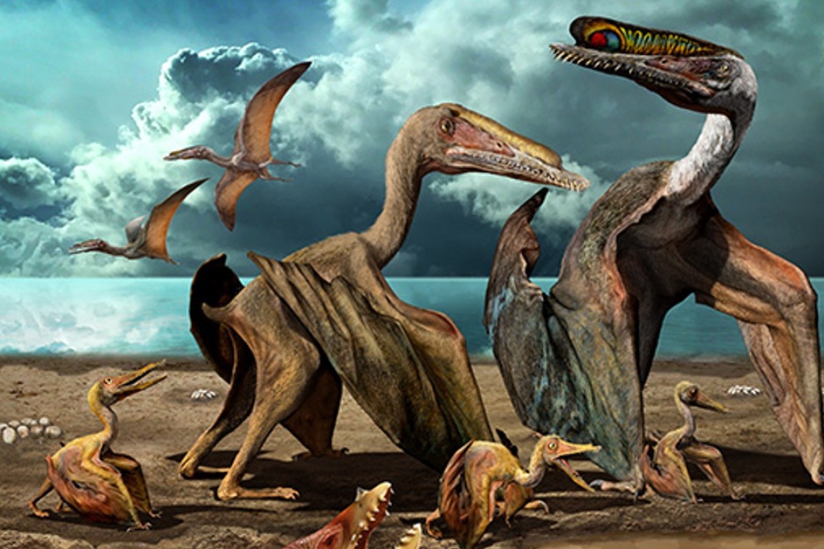 large pterosaur