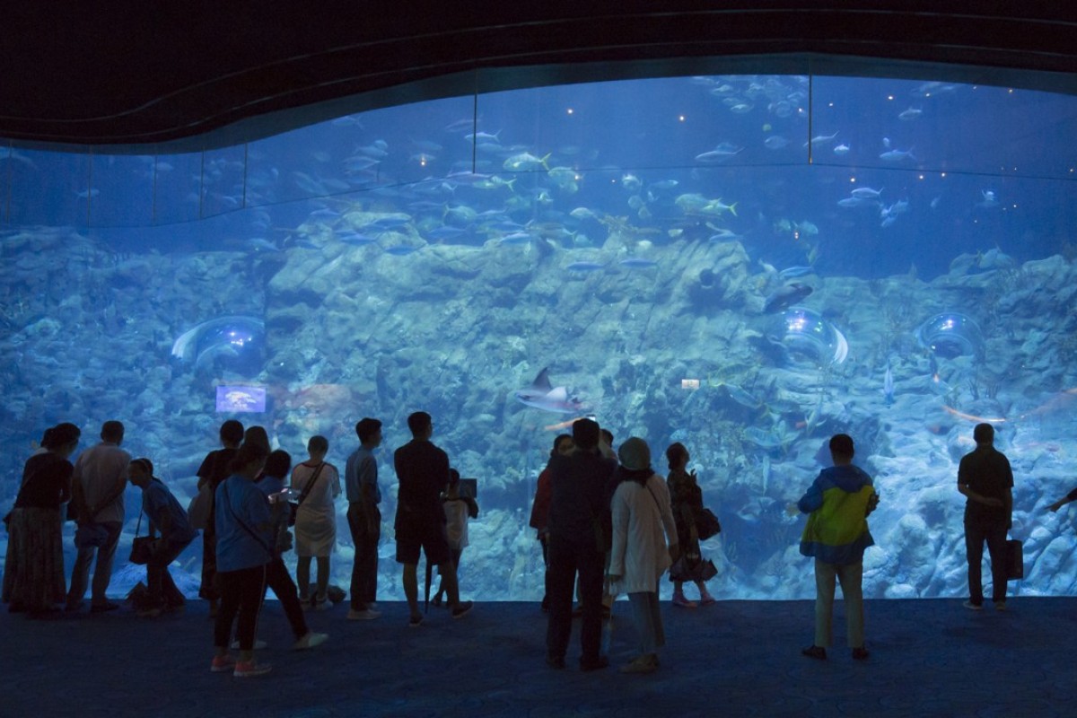 Hong Kong’s Ocean Park announces HK$234.4 million deficit along with 9