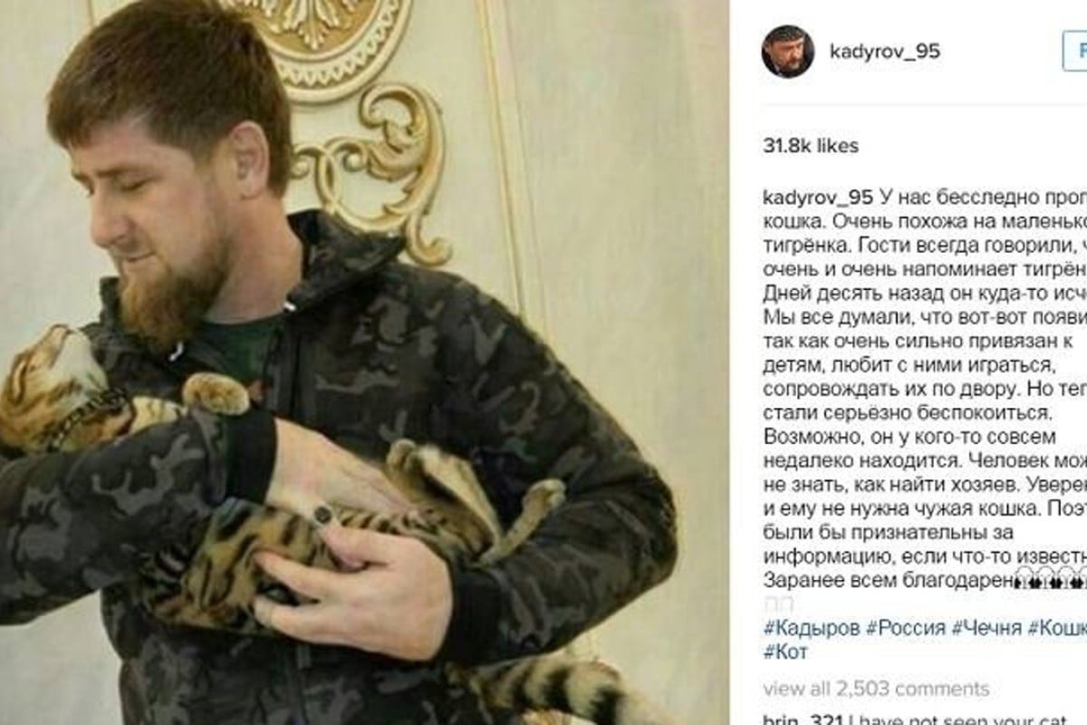 Russia Wants Answers After Strongman Chechen Leader’s Kitty-filled ...