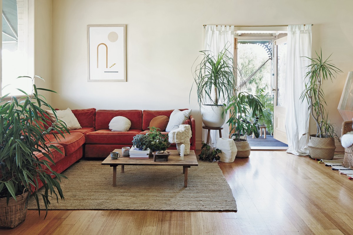 not only can plants improve a home s looks they are good for health and help - sofa king podcast instagram awesome home