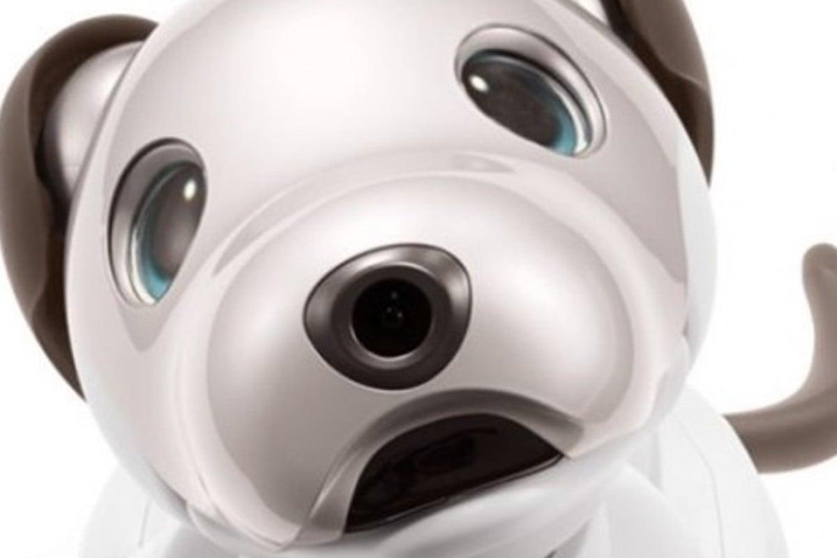 best household robots