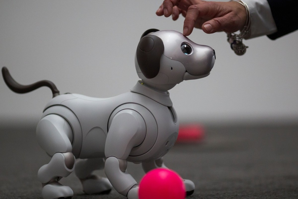 China is closing the tech gap, says US agency … as federal ... - 