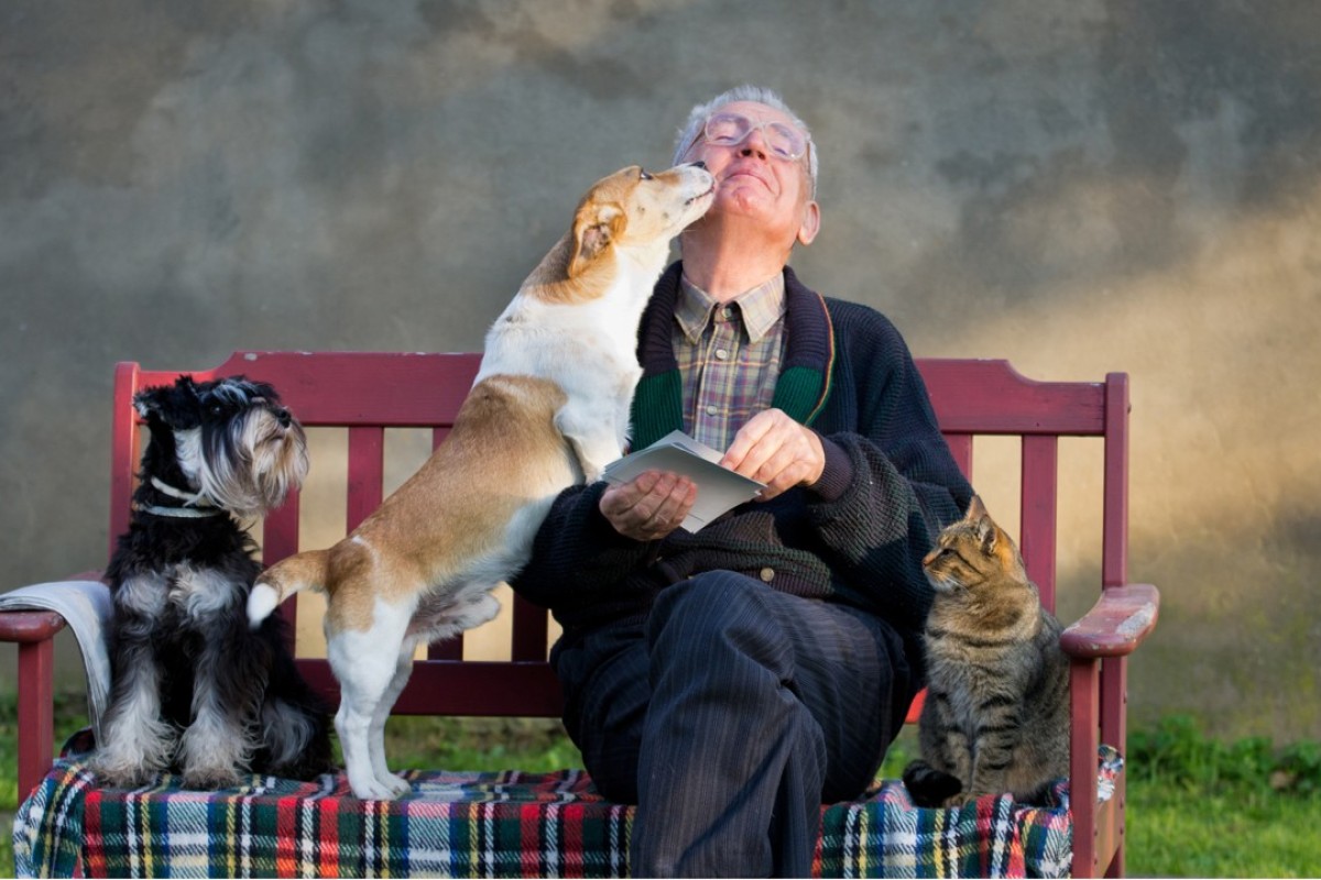 dogs in shopping centres