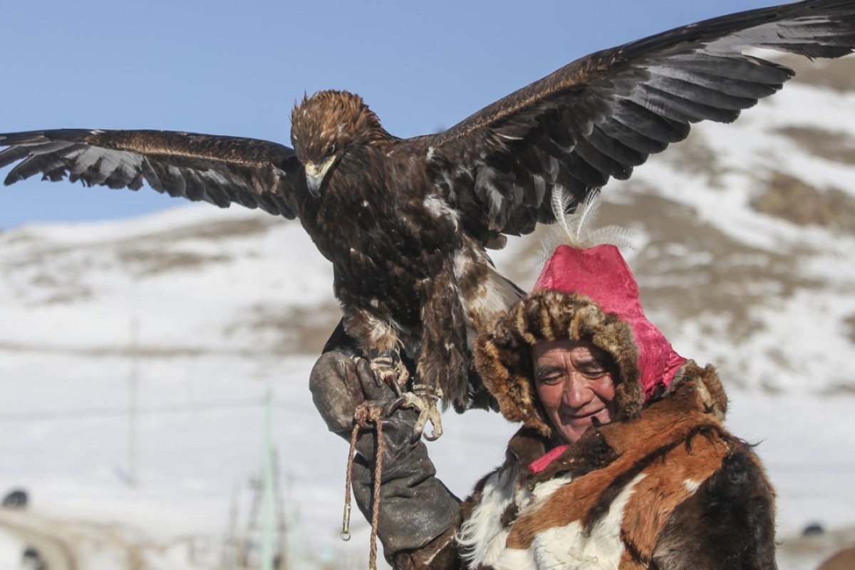 Revival Of Hunting With Eagles Gathers Pace In Mongolia As