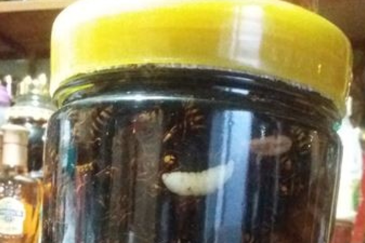 Wasps And Booze Don T Mix Yes This An Official Health Warning In