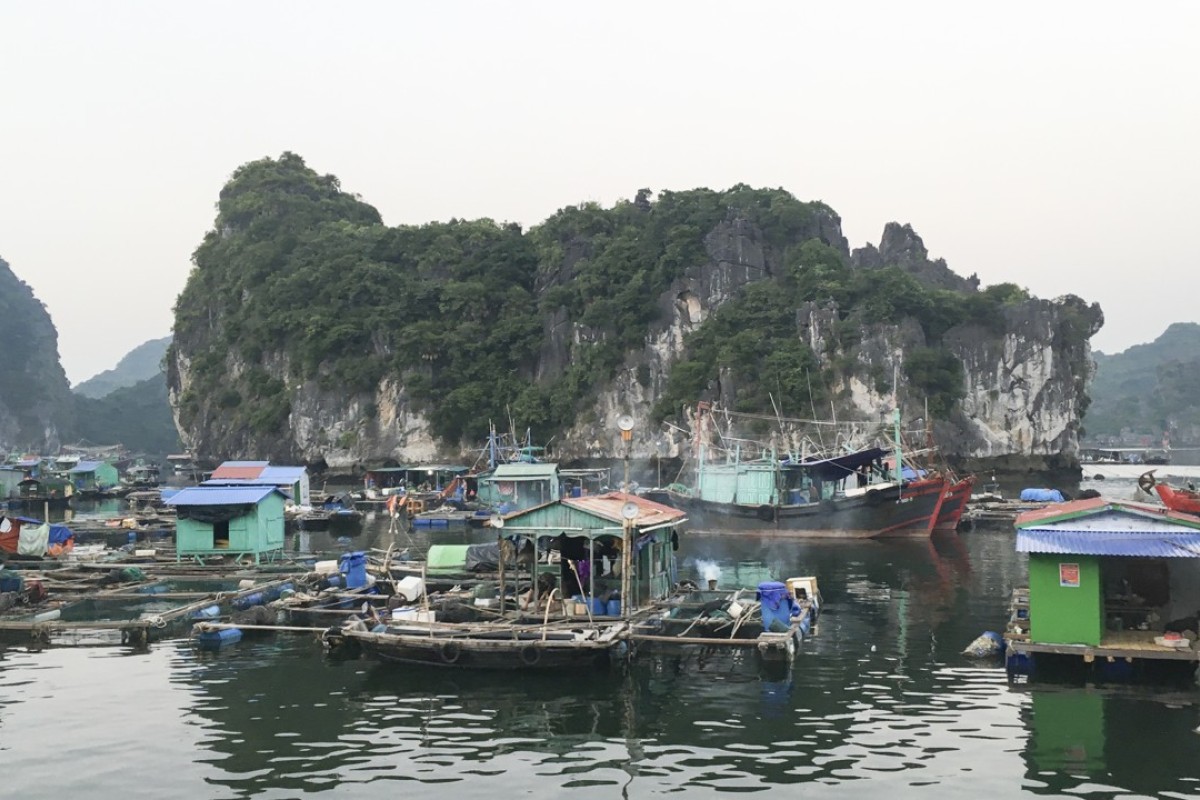 Halong Bay'S Cat Ba: A Jewel In Vietnam'S Island Crown | South China  Morning Post