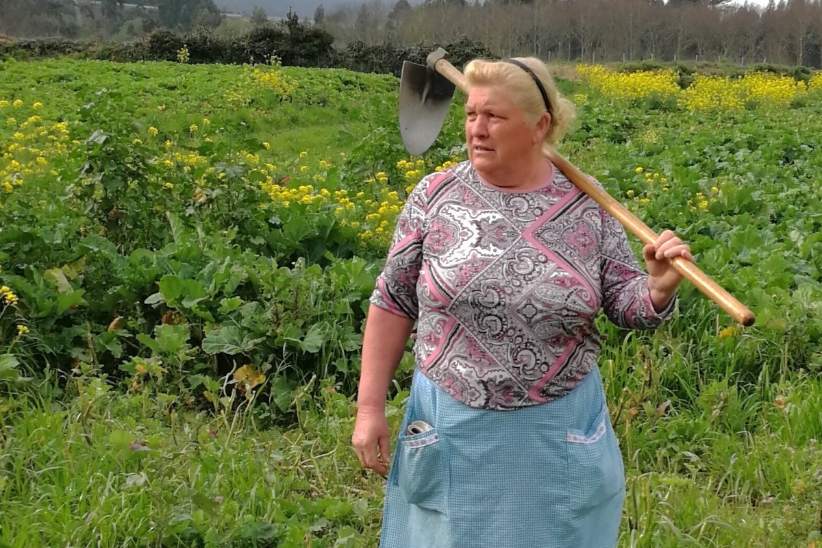 Spanish Potato Farmer Dolores Leis Looks A Lot Like Donald Trump