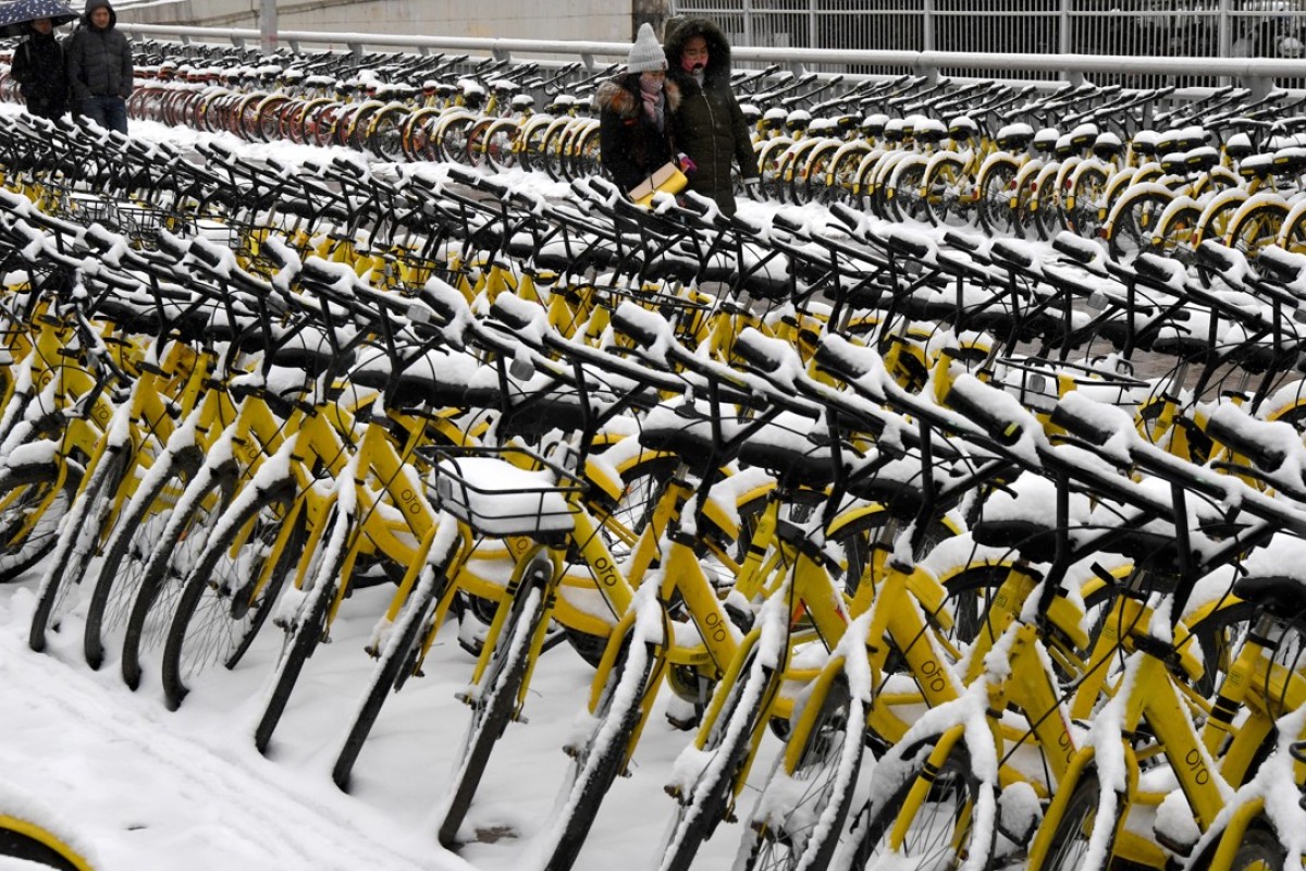 ofo cities