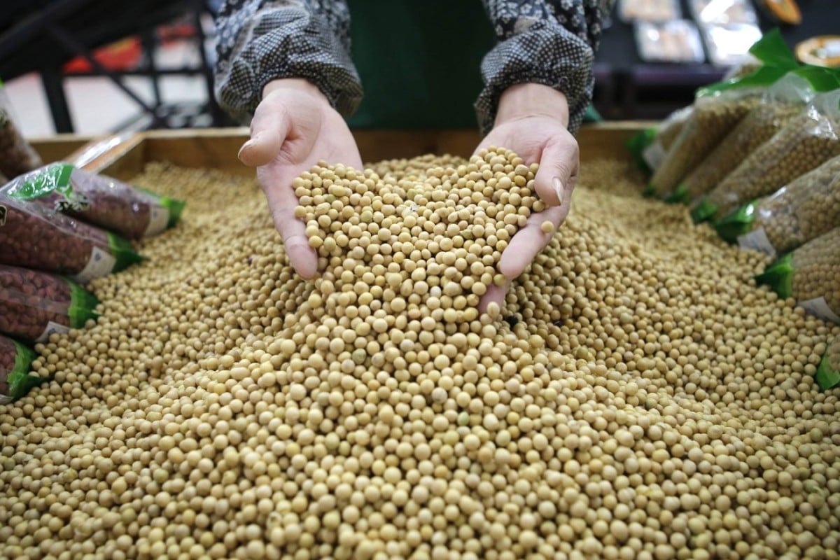 China orders farmers to grow more soybeans despite deal to buy more