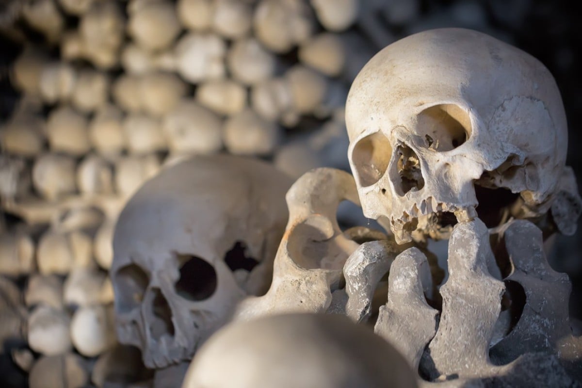 Bone Zone Porn - Stolen bones, voodoo and 'cemetery porn': when the sun goes ...