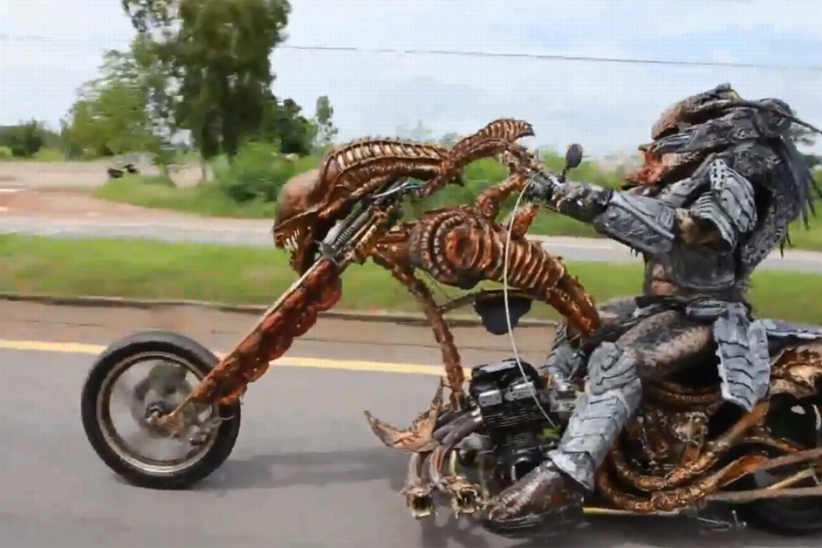 predator real