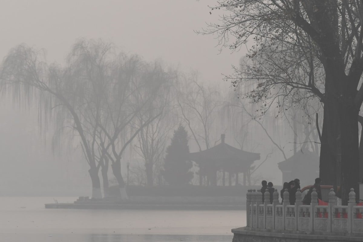Beijing S Air Pollution Helps Its Trees Grow Better Faster