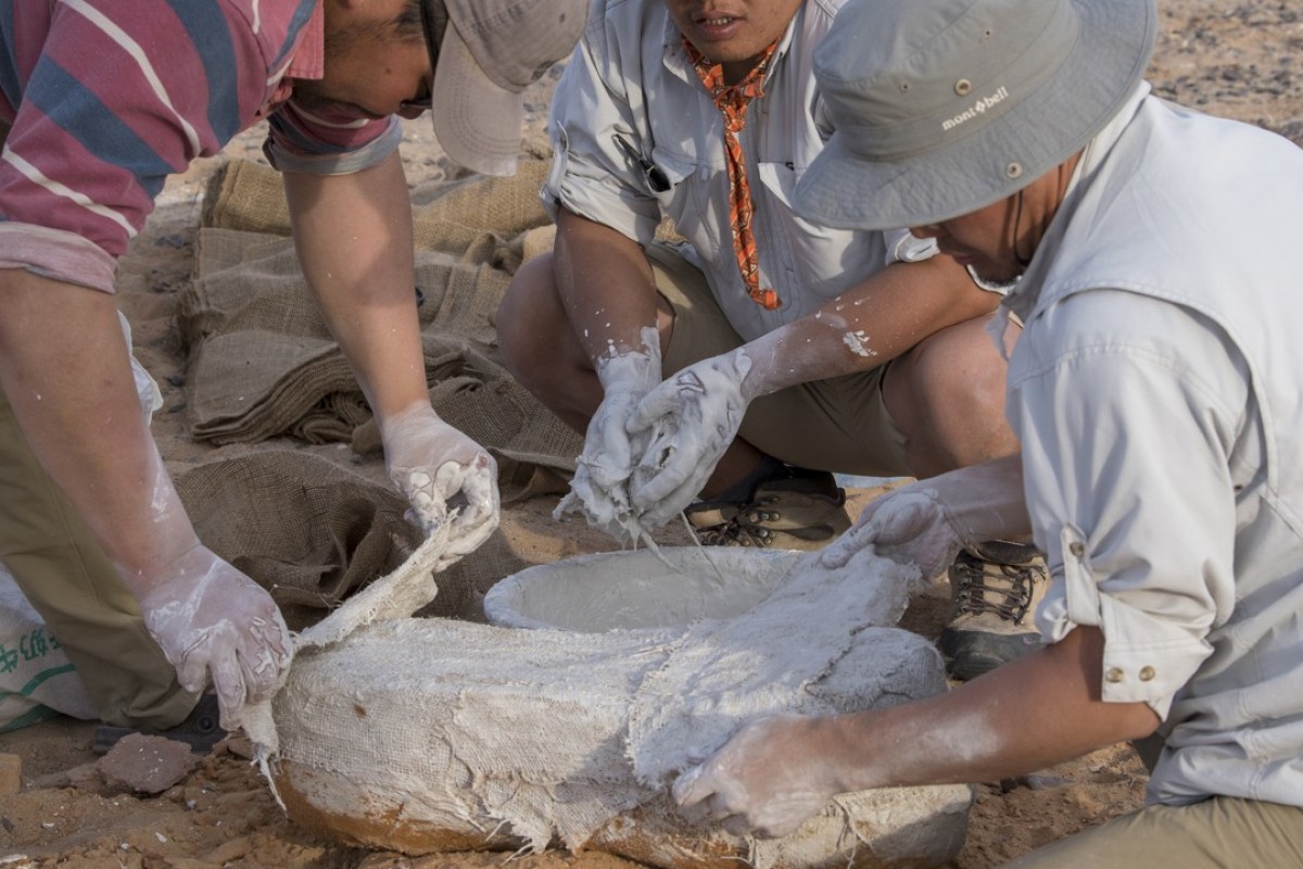 Hong Kong Dinosaur Hunters Make Amazing Discoveries In