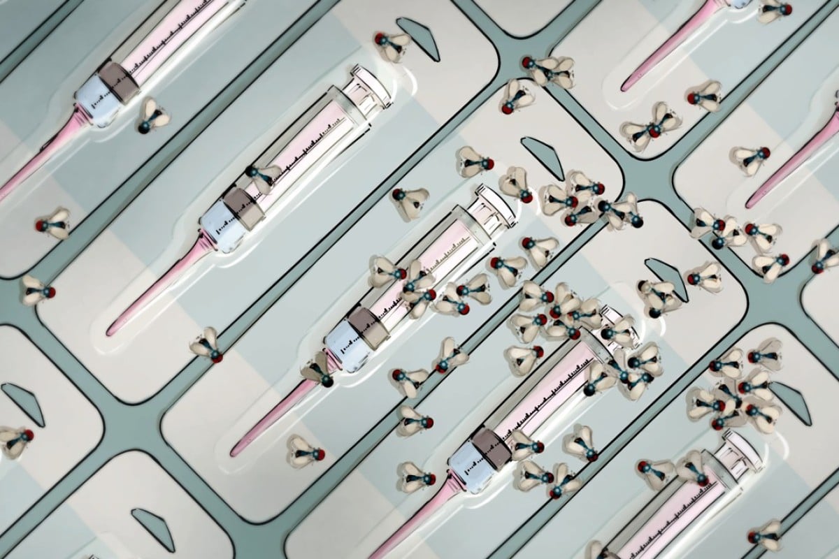 Rabies Vaccine Scandal Reveals Chinas Tattered Moral Fabric - 