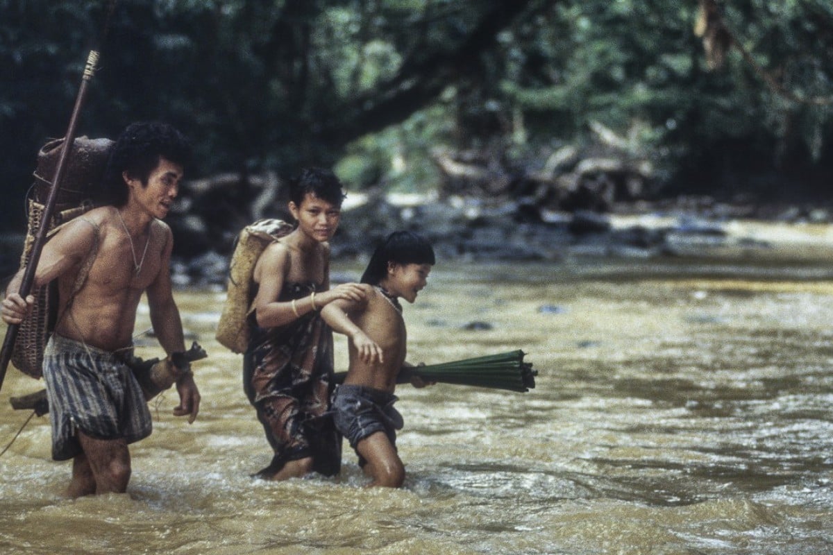 Blowpipes for handbags Malaysia tribe driven from forest Blowpipes for handbags Malaysia tribe driven from forest