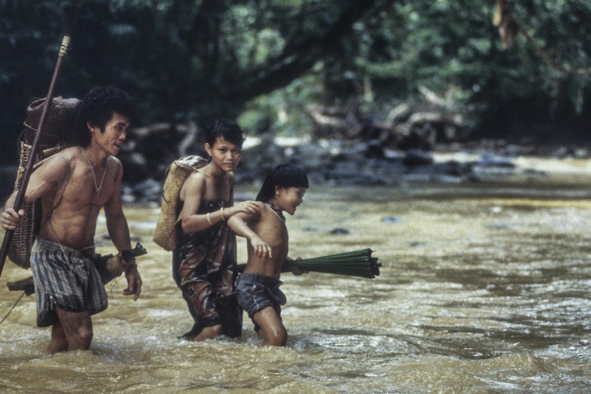 Blowpipes for handbags Malaysia tribe  driven from forest 