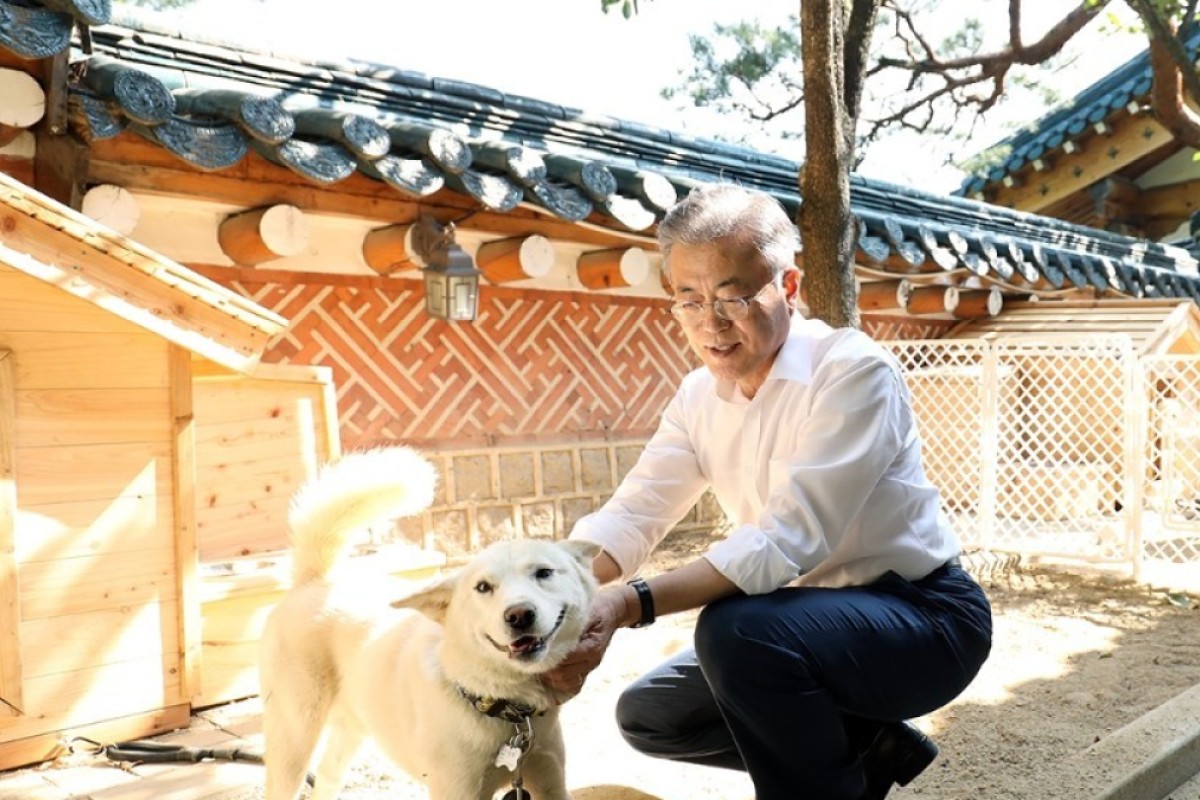 Dogs Of North Korea Kim S Pets Valuable Pelts And Inter Korean Peace Offerings South China Morning Post