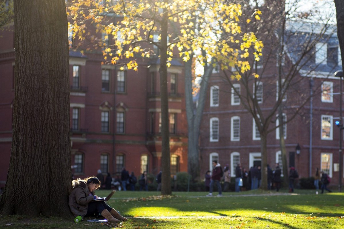 Image result for european university campus tree yellow