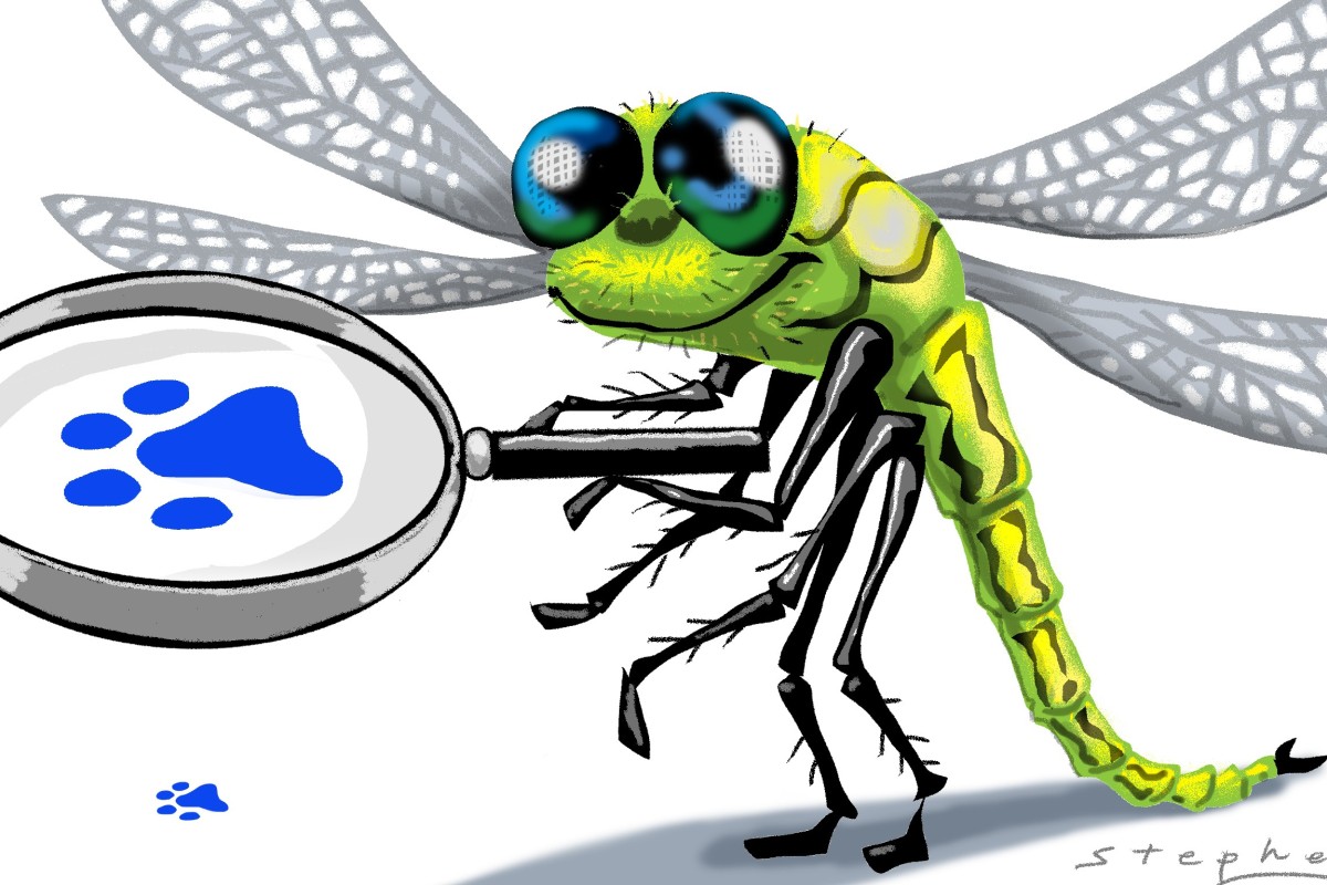 south china morning post