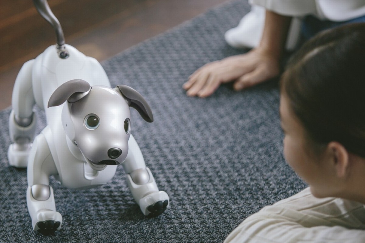 The Truth About Robot Cats And Dogs Can They Replace Real Pets South China Morning Post