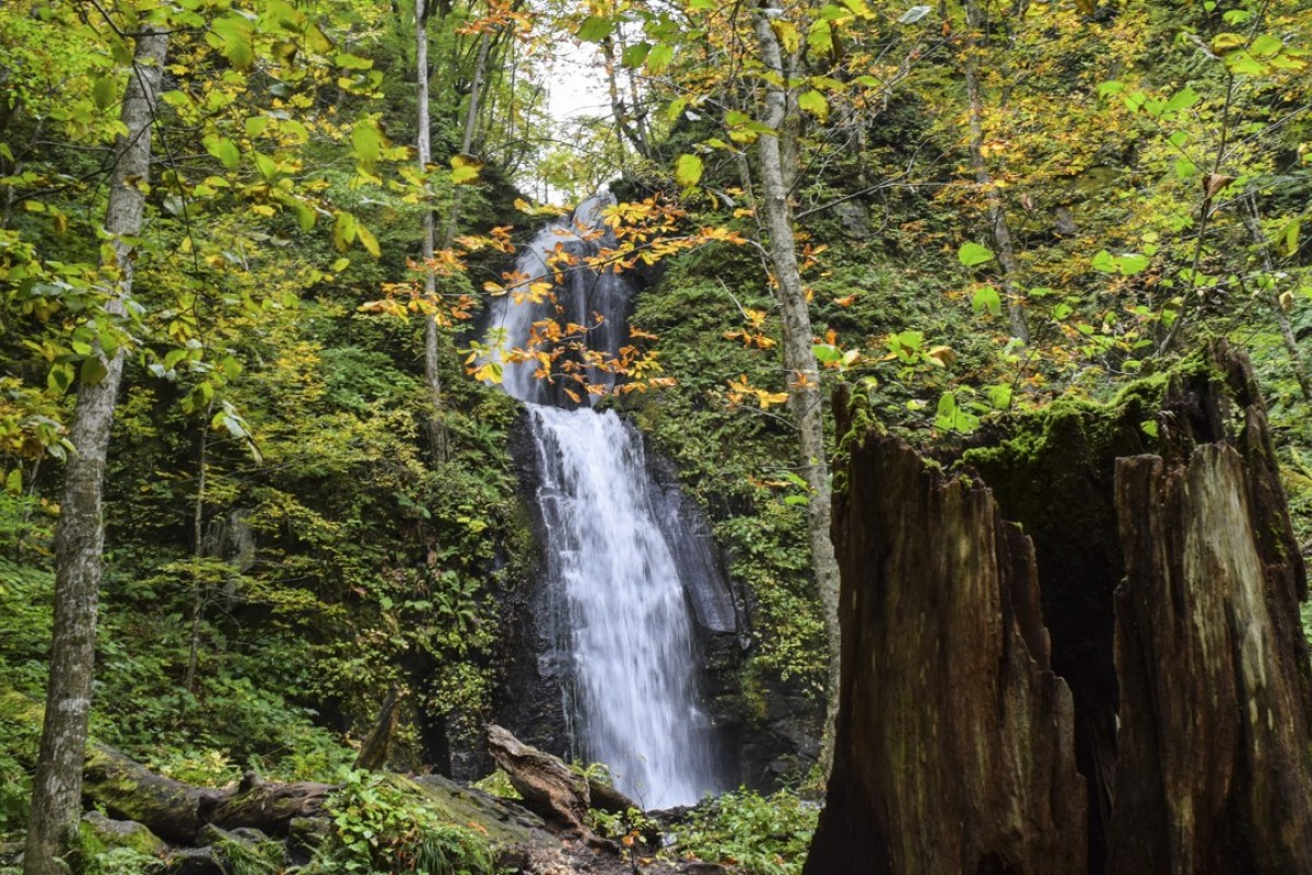 The Best Place To See The Glorious Autumn Colours In Japan