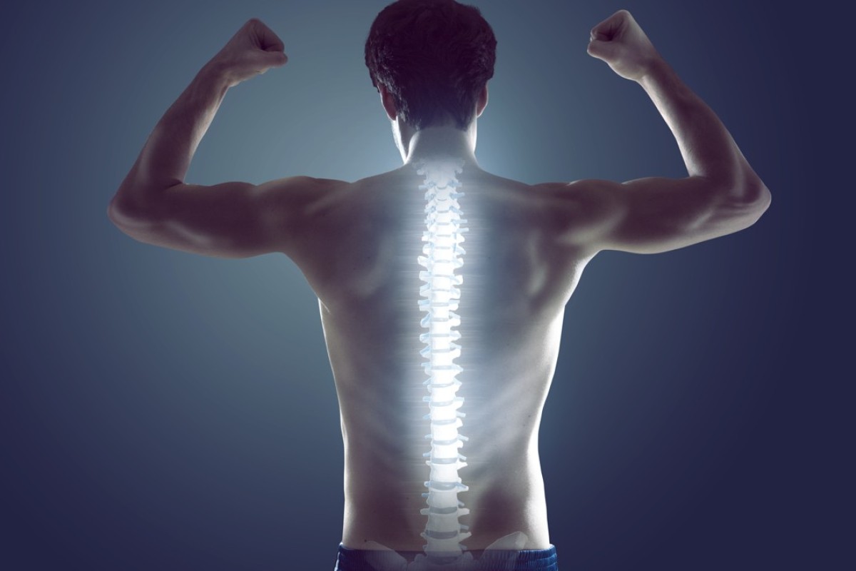 SPİNE HEALTH ile ilgili görsel sonucu
