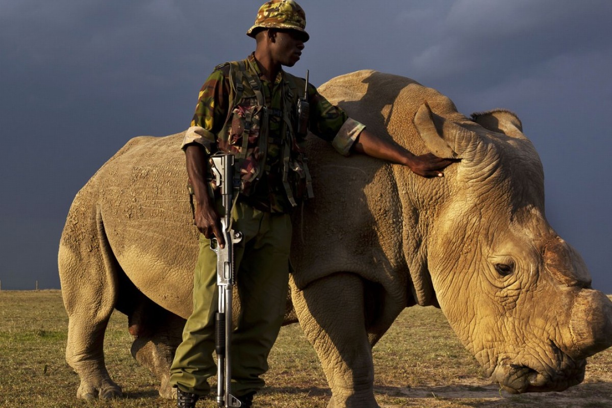 Read the touching tribute from James Mwenda, carer of Sudan, the last