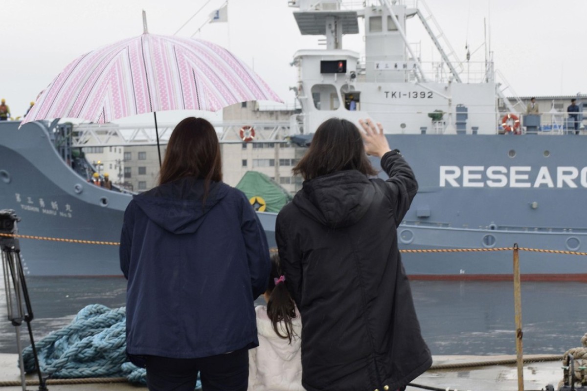 Australian Pm Scott Morrison Urged To Press Japan S Shinzo Abe On Whaling Research During First Post War Visit South China Morning Post